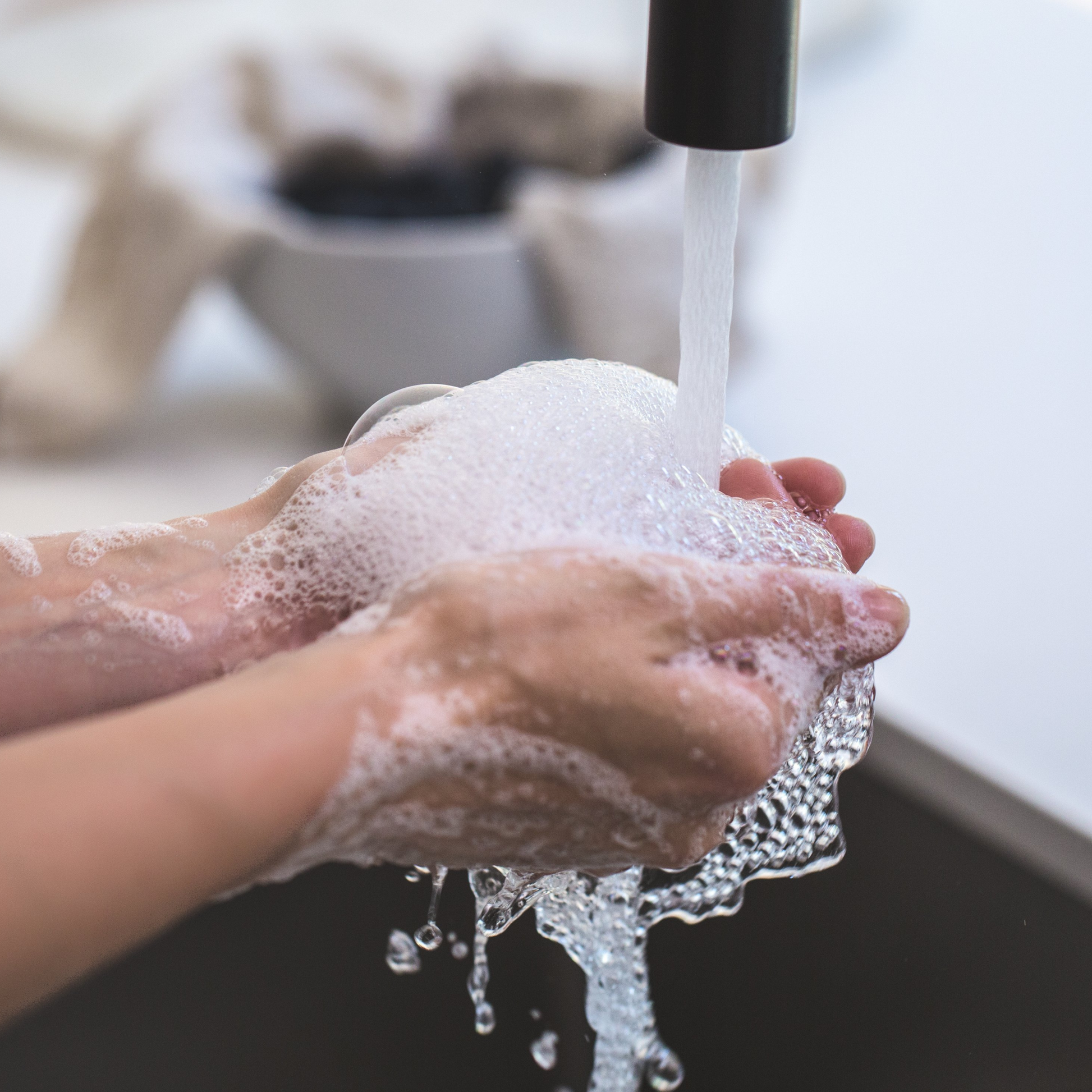 Liquid Tallow Soap [White Label] - Cedar Grove Tallow Co.